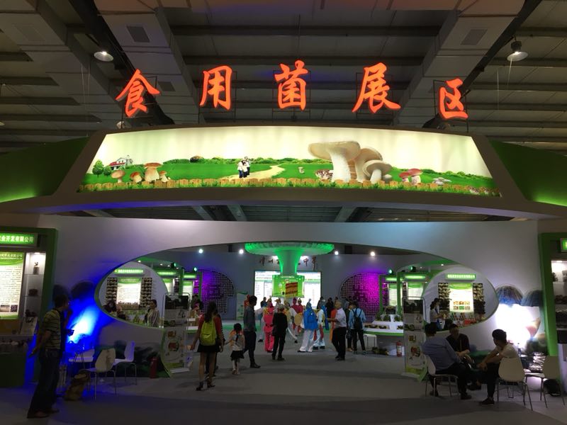 杏鑫娱乐·(中国区)官方网站